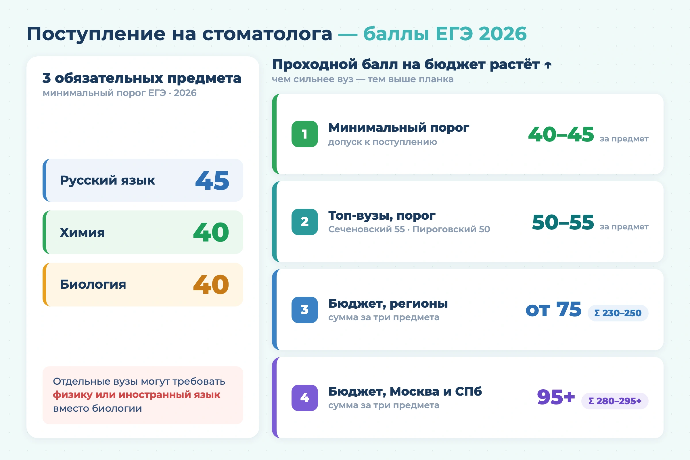 Как стать стоматологом в 2026 году