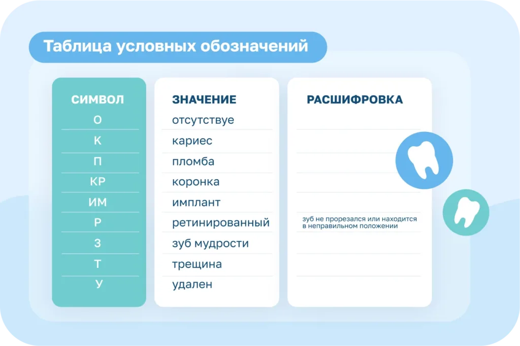 Зубная формула: полное руководство для стоматологов